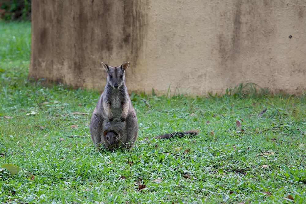 DSC_4330.jpg