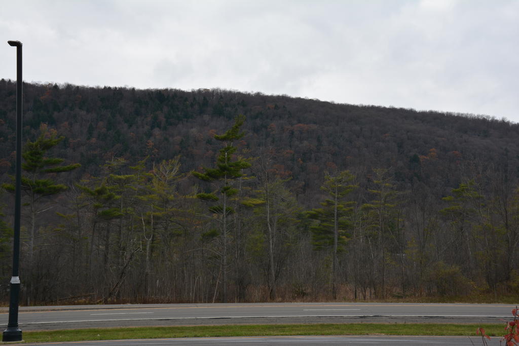 DSC_4331.jpg