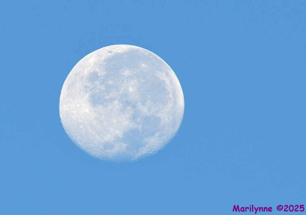 DSC_4336_001.JPG