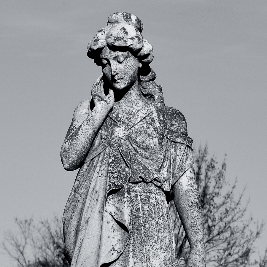 DSC_4340-2.jpg