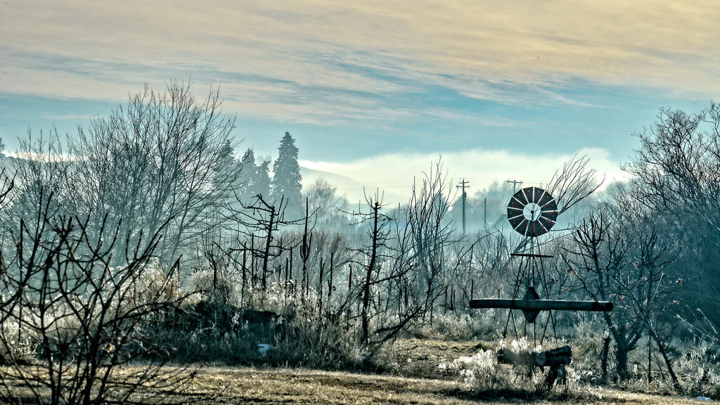 DSC_4346-Edit.jpg