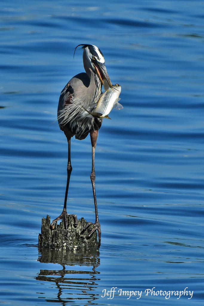DSC_4346.jpg