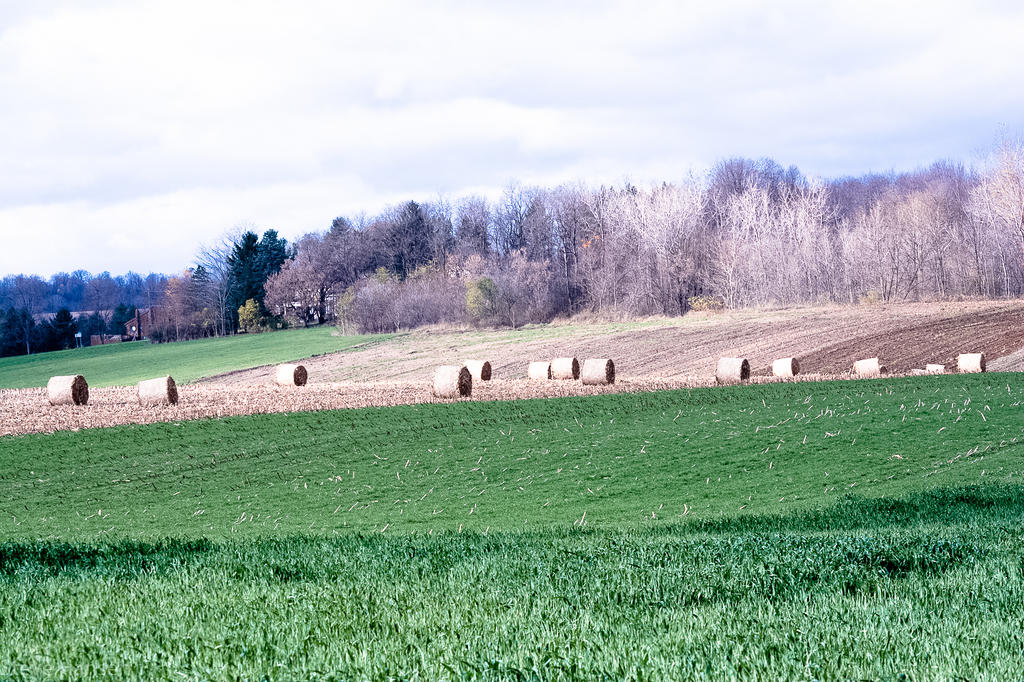 DSC_4349-2.jpg