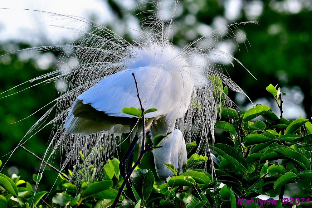 DSC_4351_001.JPG