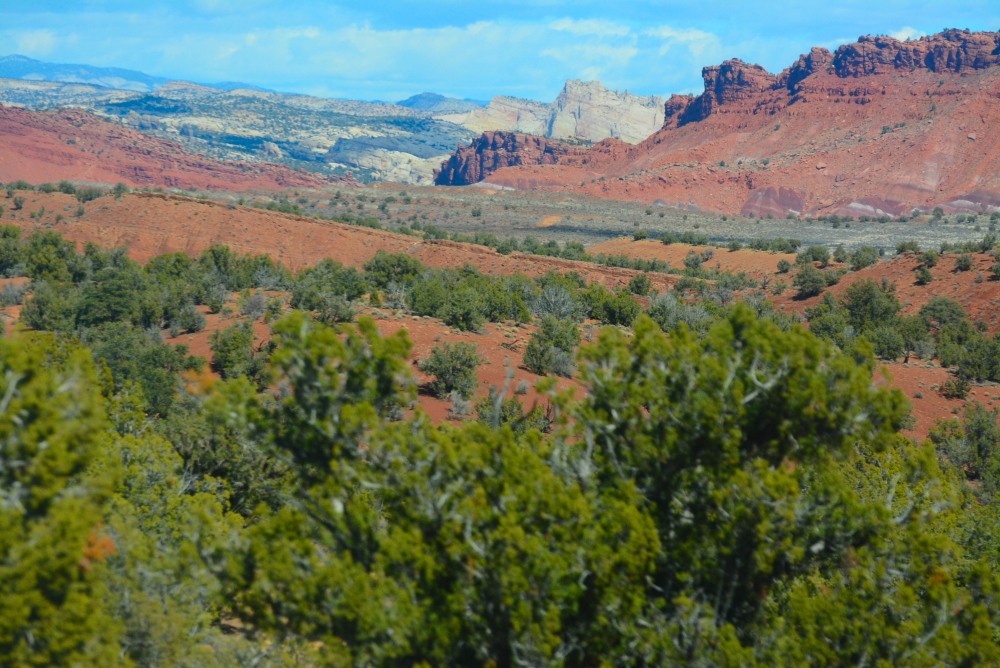 DSC_4357.JPG