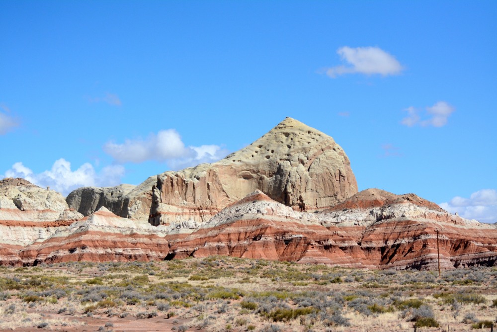 DSC_4358.JPG