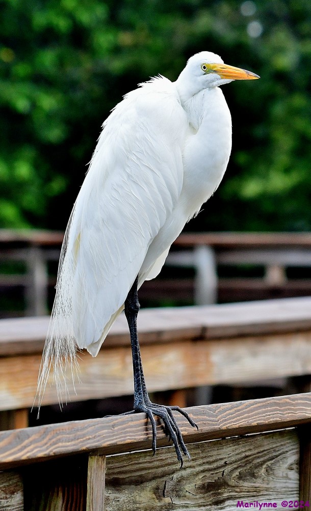 DSC_4360_001.JPG