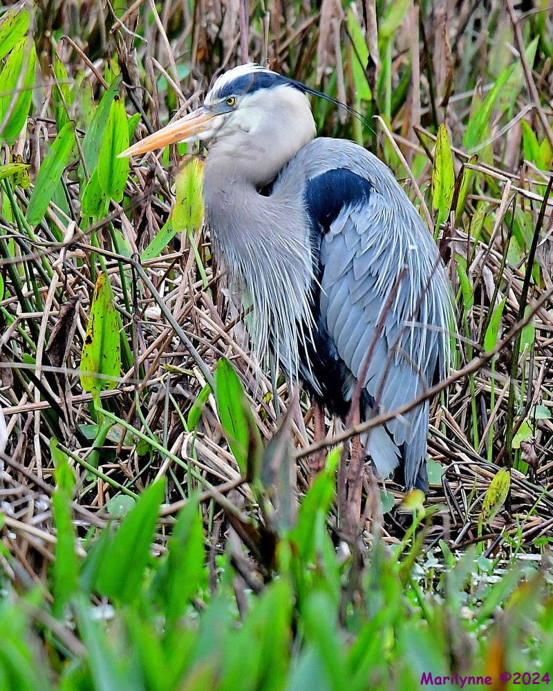 DSC_4361_001.JPG