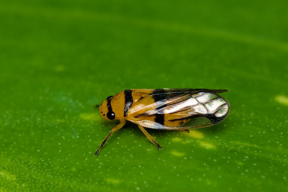DSC_4365.jpg