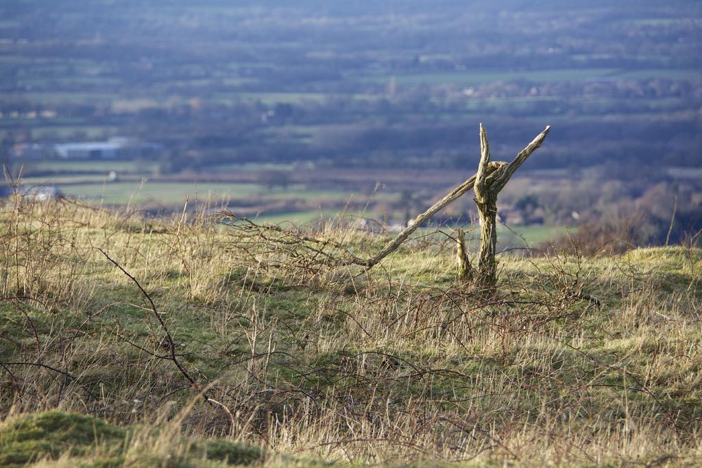 DSC_4369.jpg