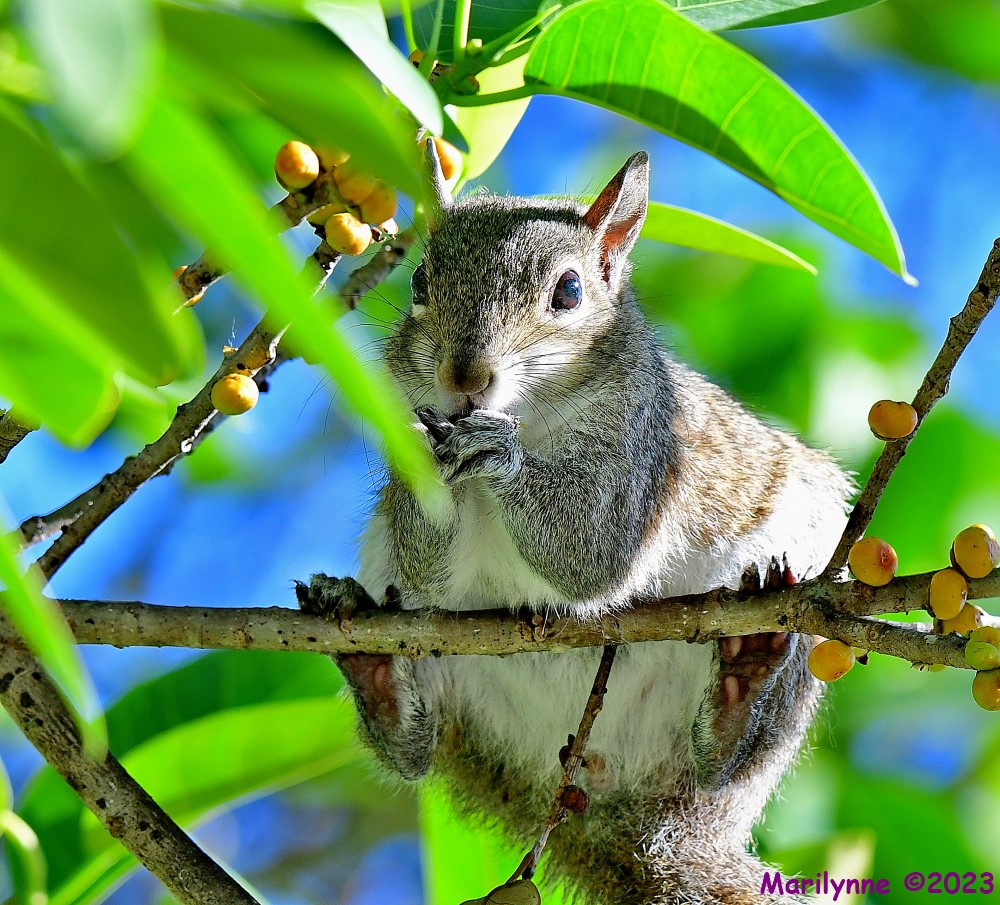 DSC_4372_stitch_001.JPG