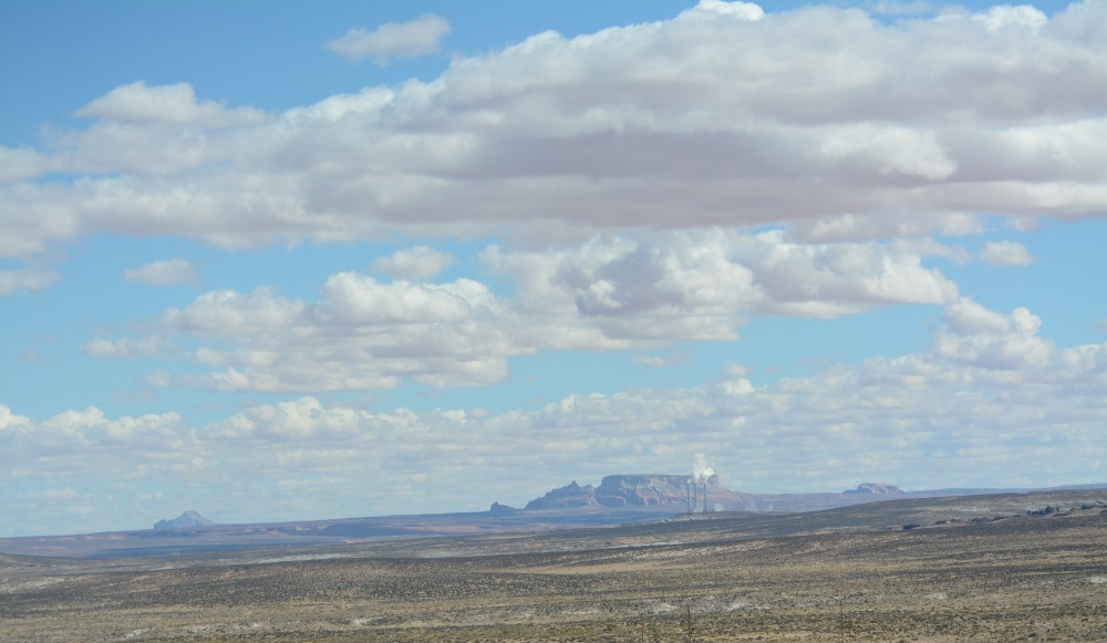 DSC_4377.JPG
