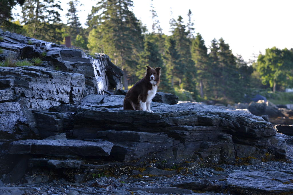 DSC_4379.jpg