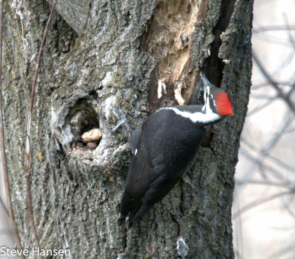 DSC_4392.jpg