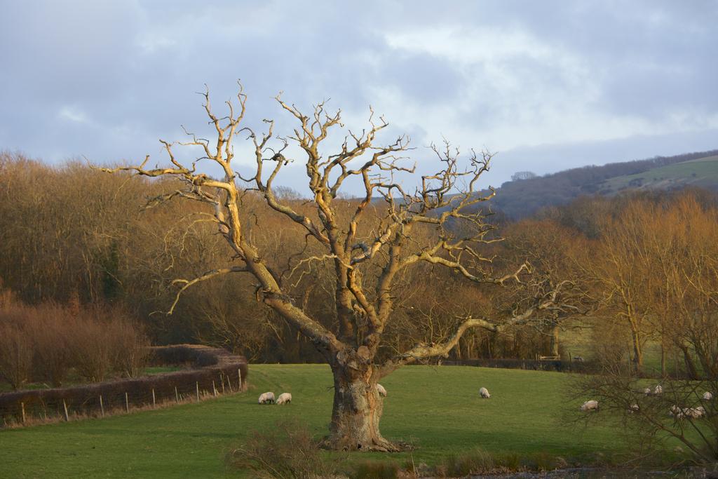 DSC_4393.jpg
