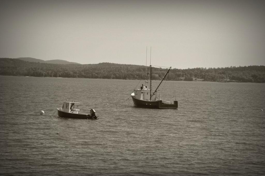 DSC_4398.JPG 2.jpg