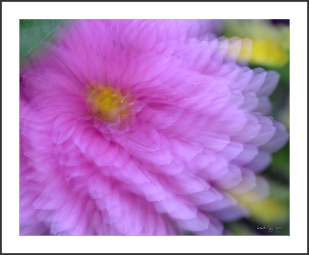 DSC_4399.jpg