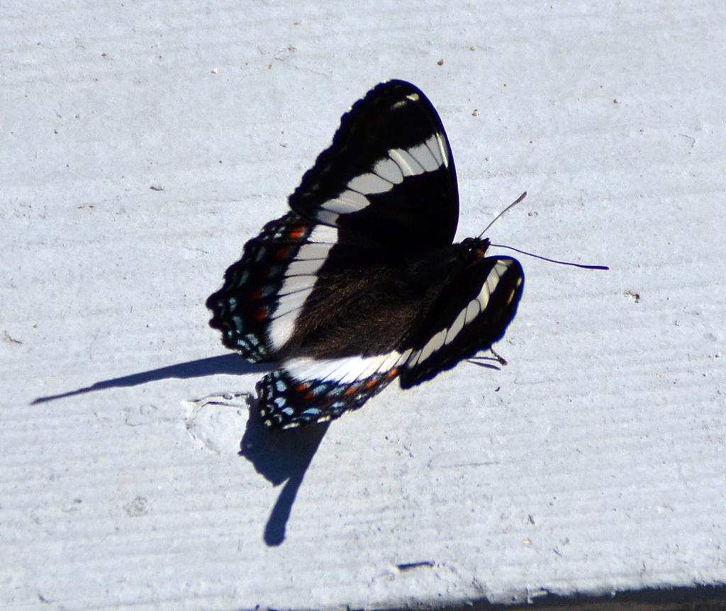 DSC_4400.jpg