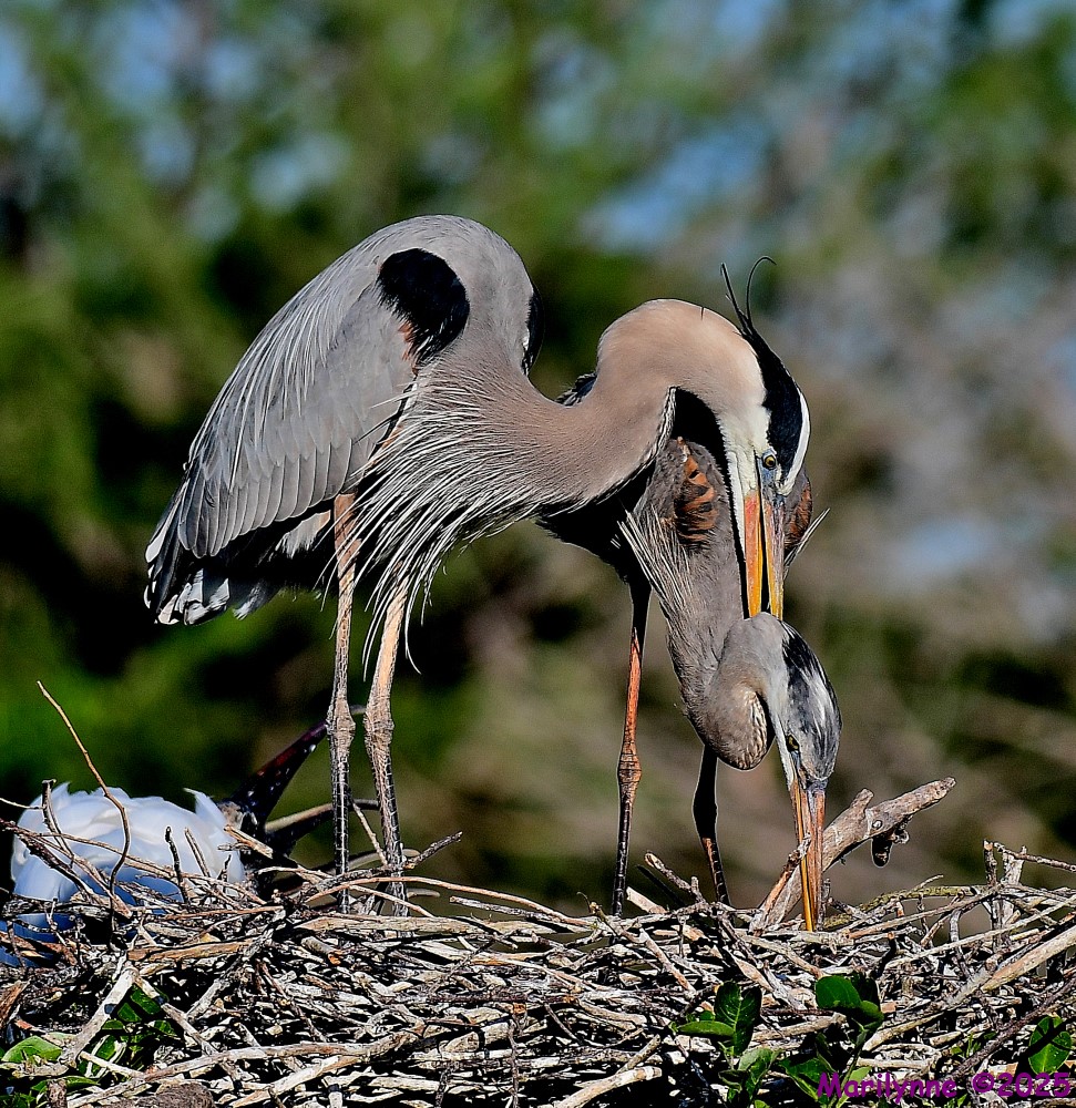 DSC_4400_001.JPG