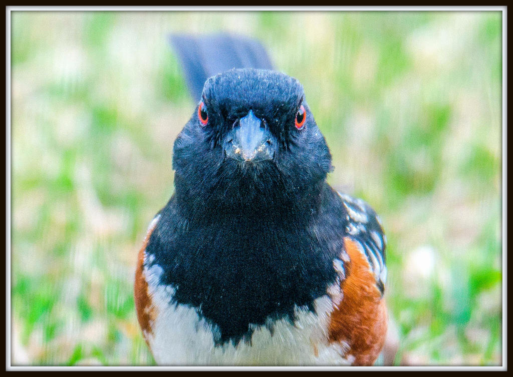 DSC_4404-Edit.jpg
