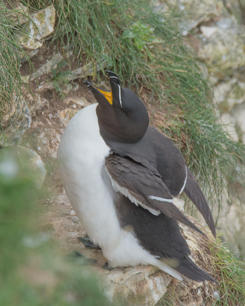 DSC_4407.jpg