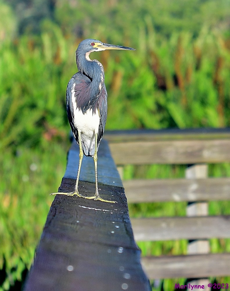 DSC_4407_001.JPG