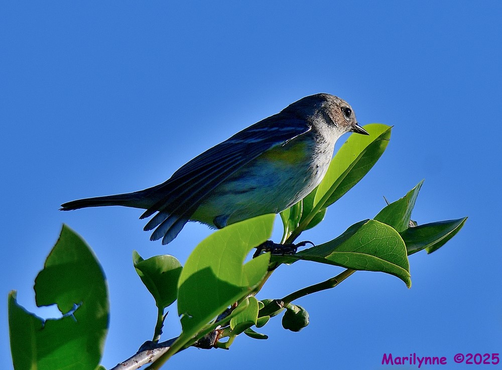 DSC_4407_001.JPG