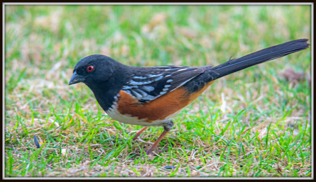DSC_4409-Edit.jpg