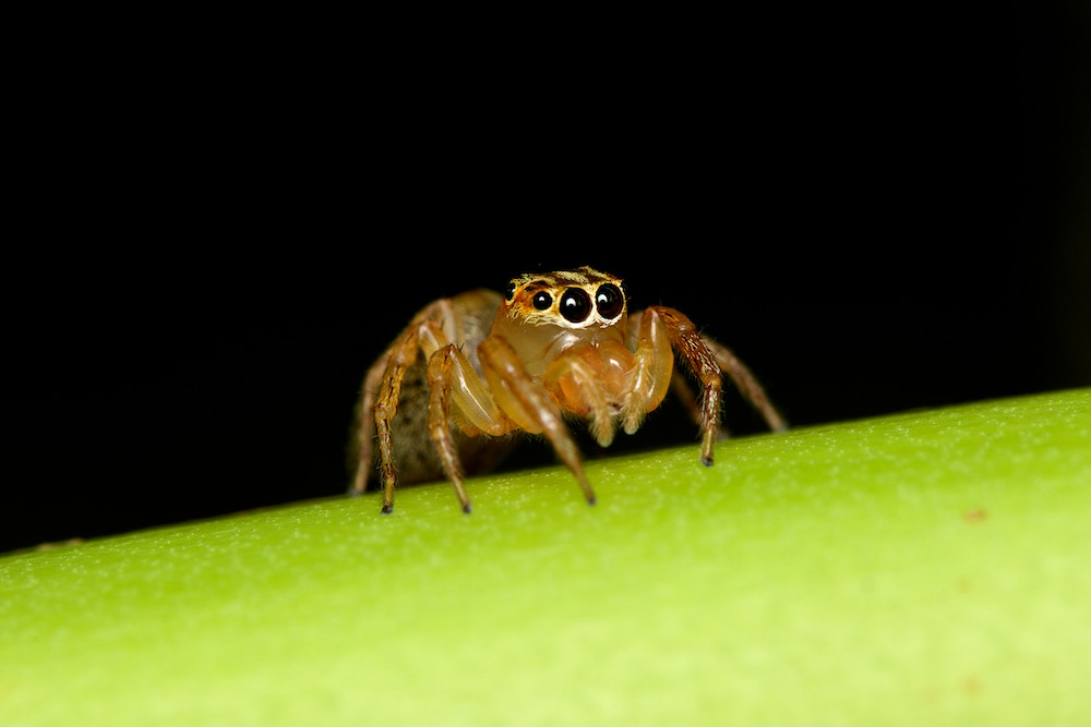 DSC_4419.jpg