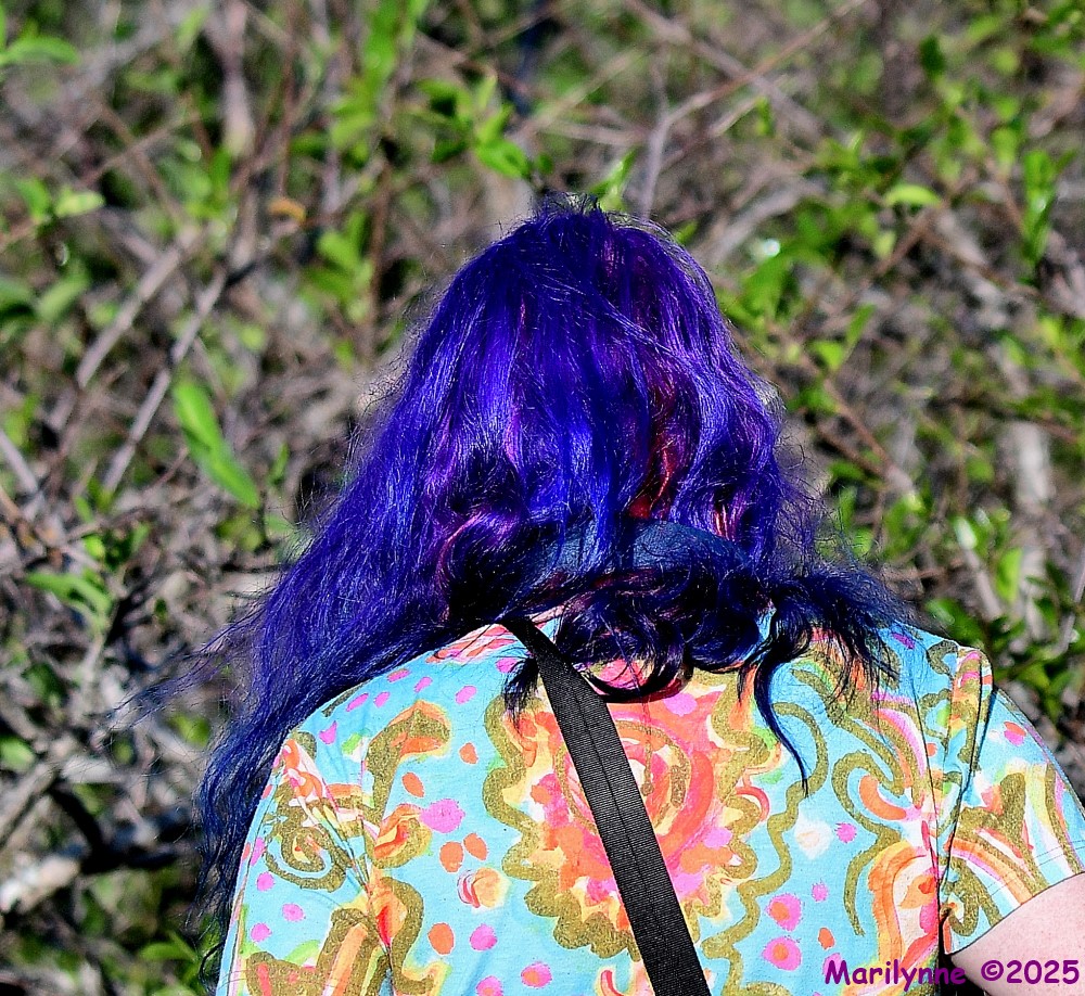 DSC_4419_001.JPG