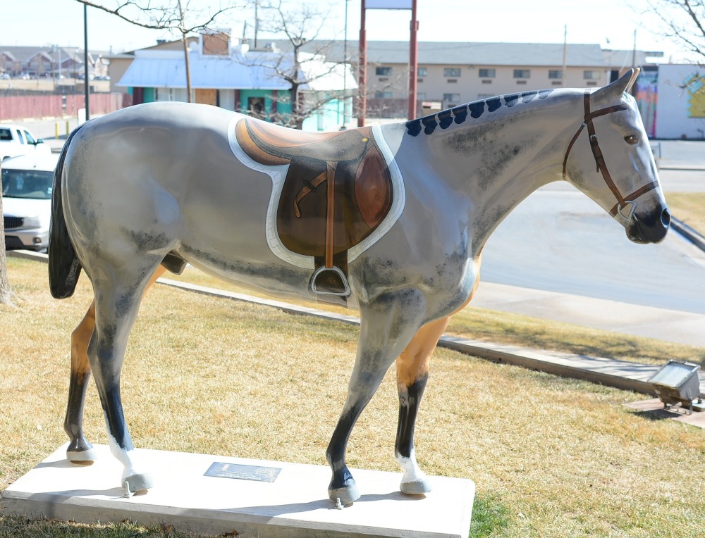 DSC_4425.JPG