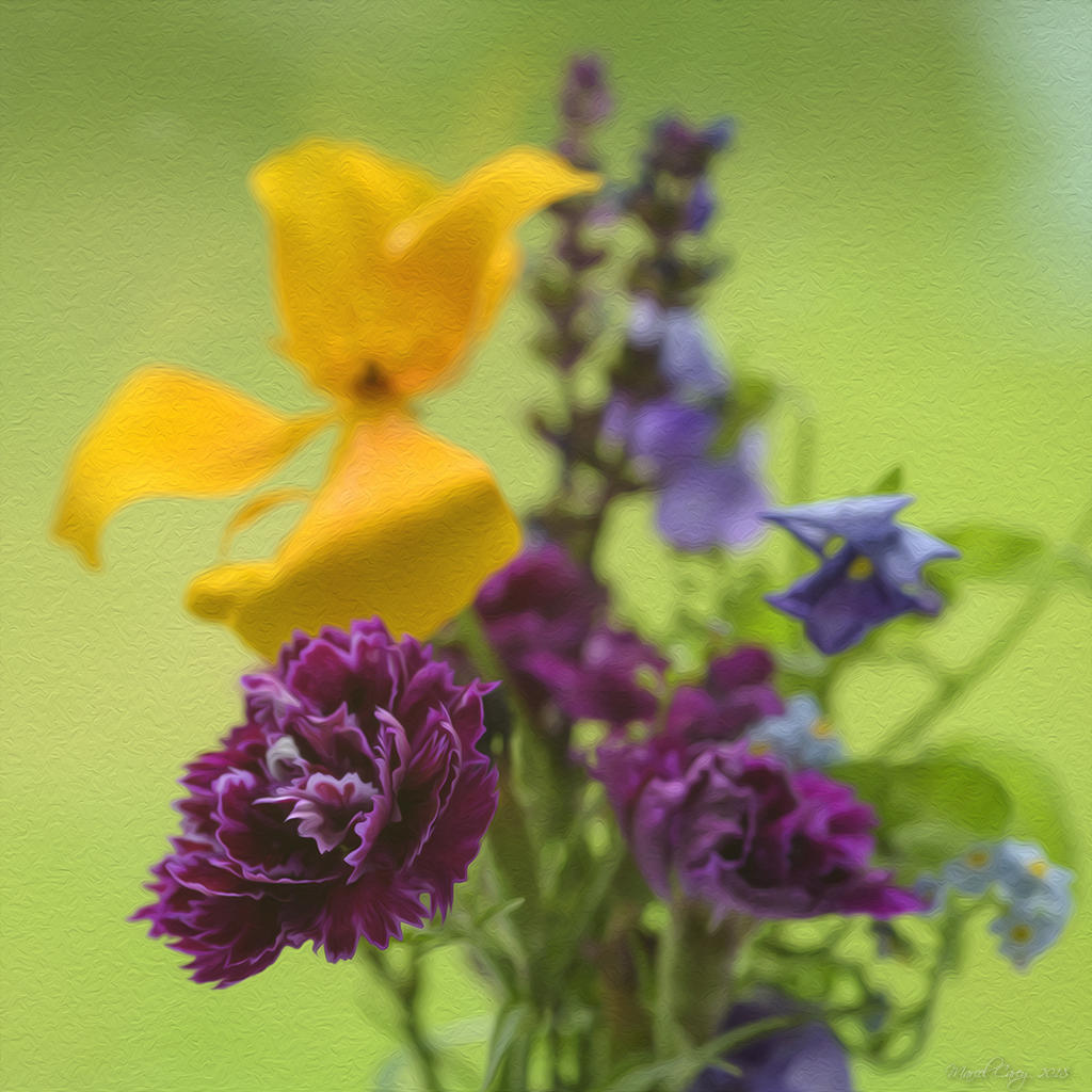 DSC_4432.jpg