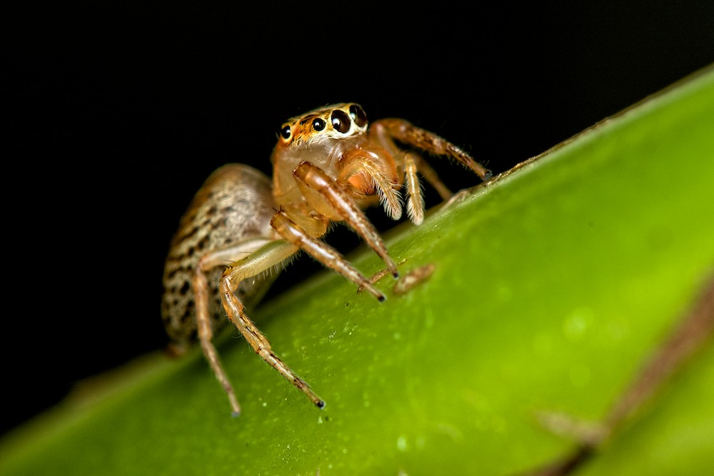DSC_4437.jpg