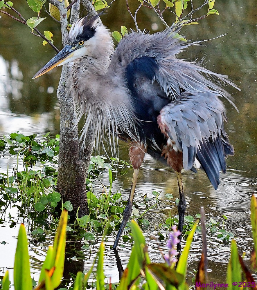 DSC_4438_001.JPG