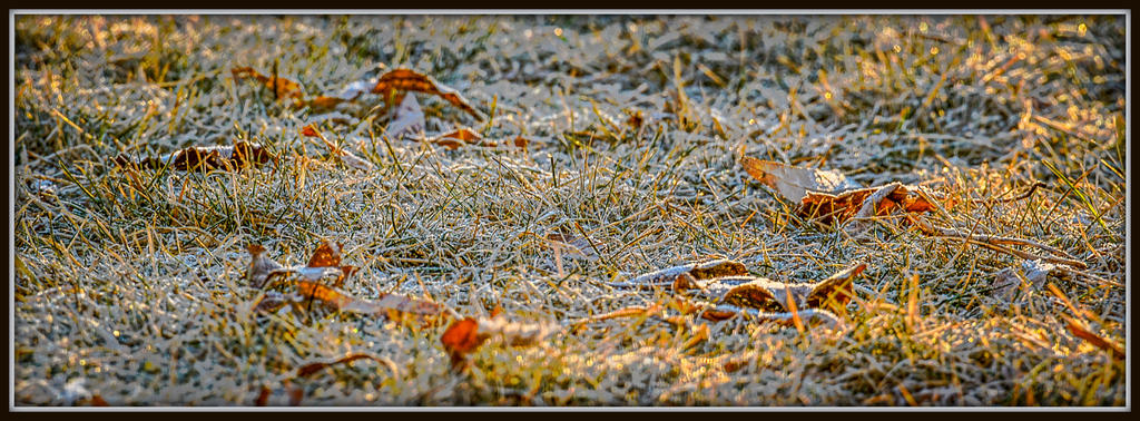 DSC_4443-HDR-Edit.jpg