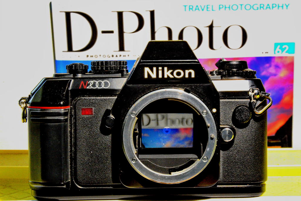 DSC_4445.jpg