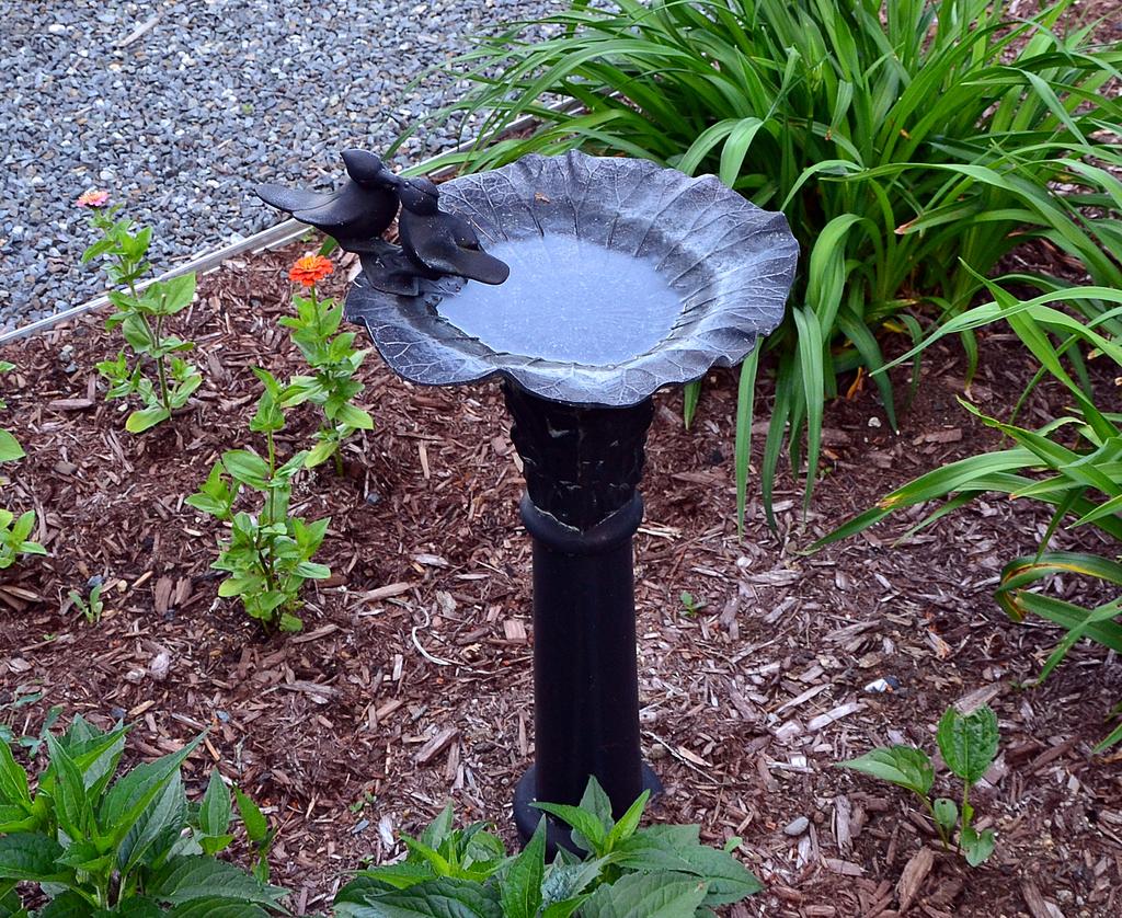 DSC_4455.jpg