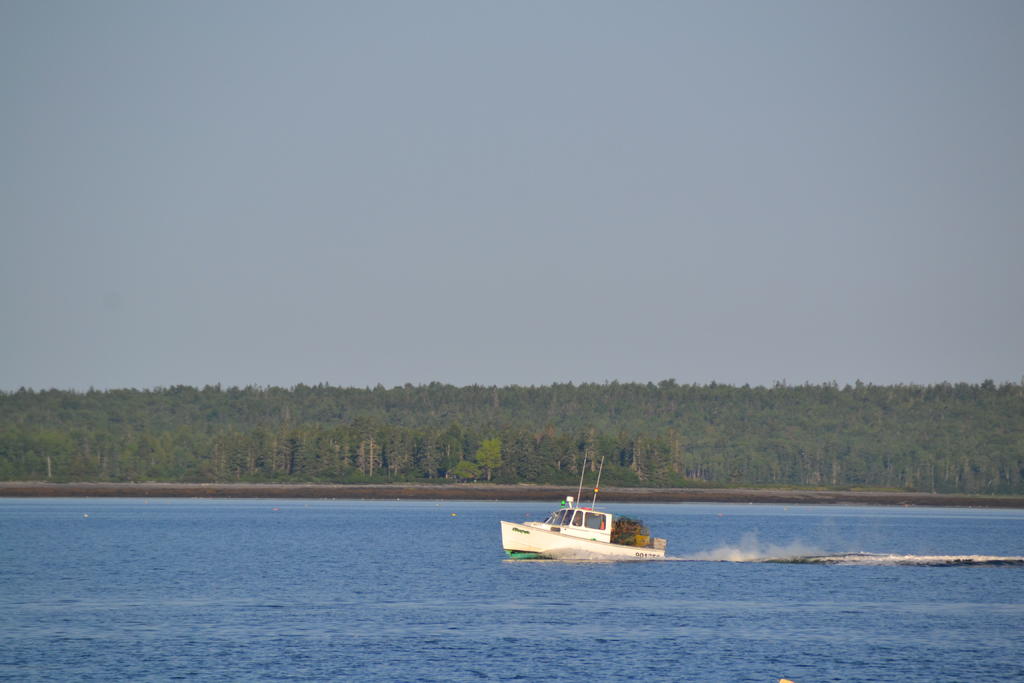 DSC_4459.jpg