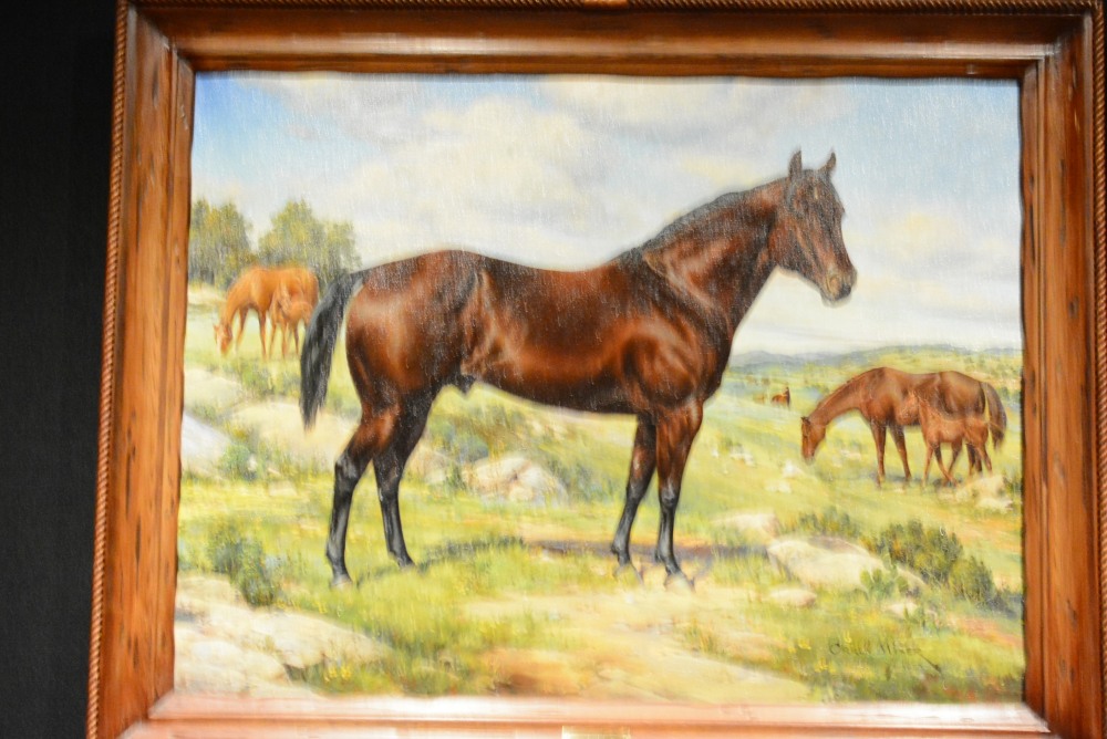 DSC_4463.JPG