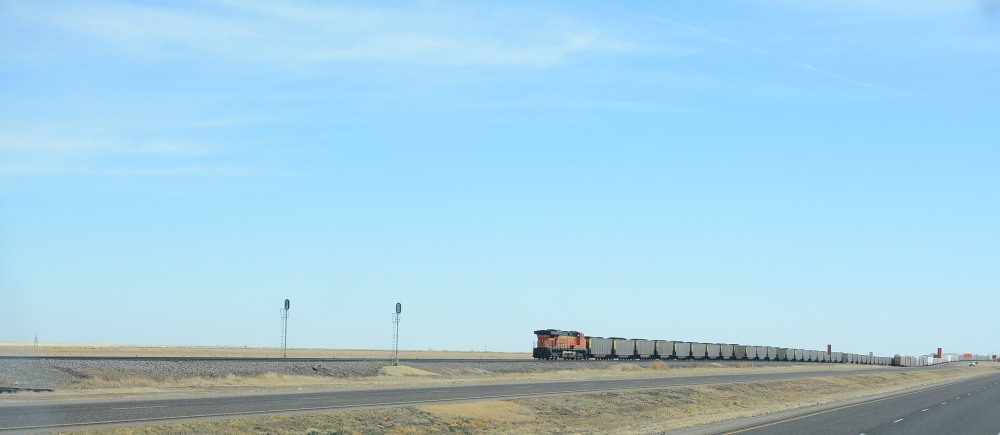 DSC_4464.JPG