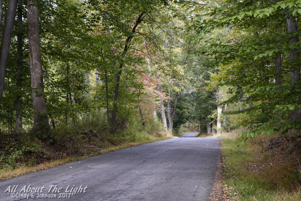 DSC_4469 low res.jpg