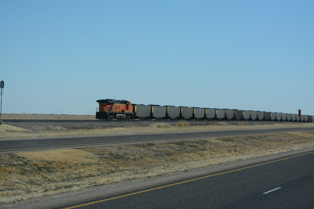 DSC_4470.JPG