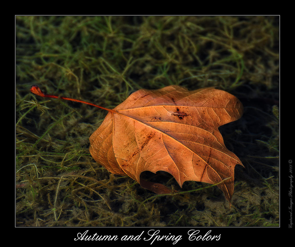 DSC_4470_Web.jpg