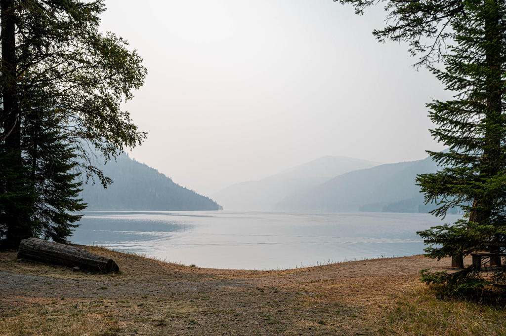 DSC_4472.jpg