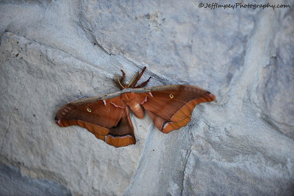 DSC_4479.jpg