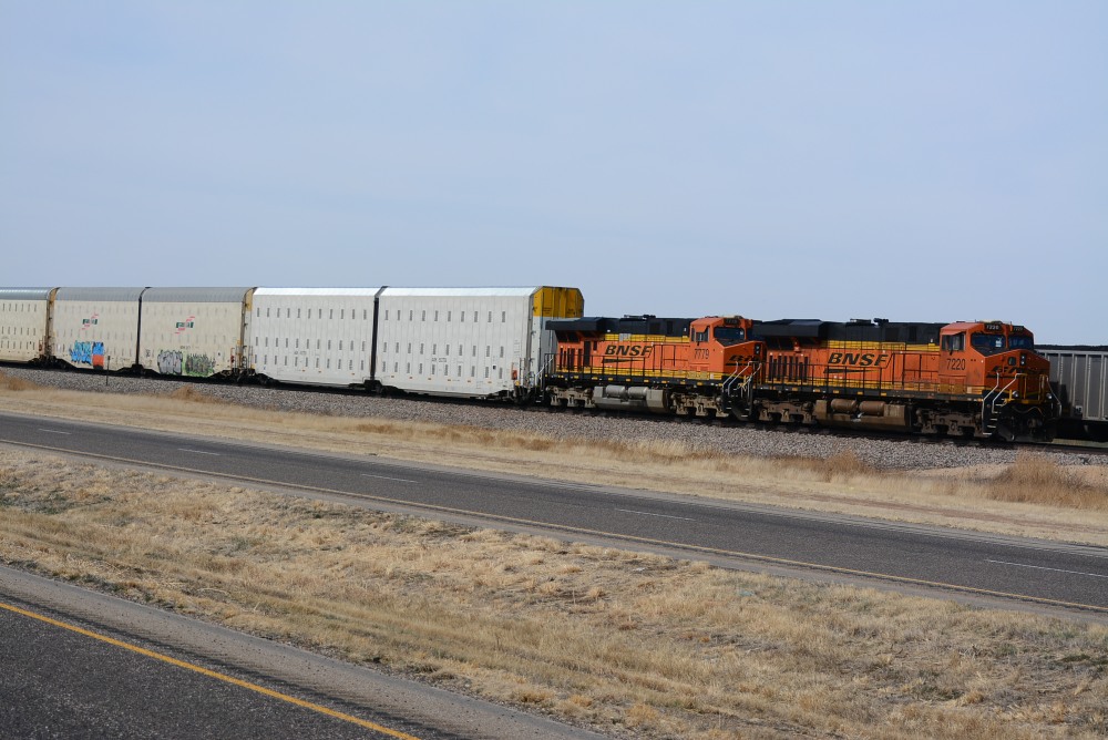 DSC_4485.JPG
