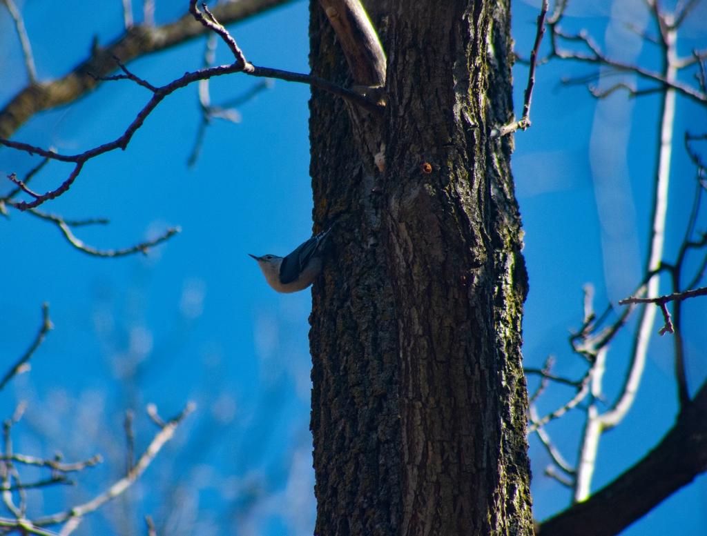 DSC_4486.jpg