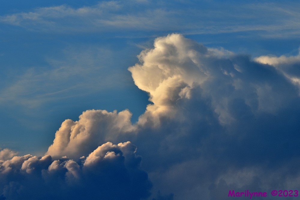 DSC_4487_001.JPG