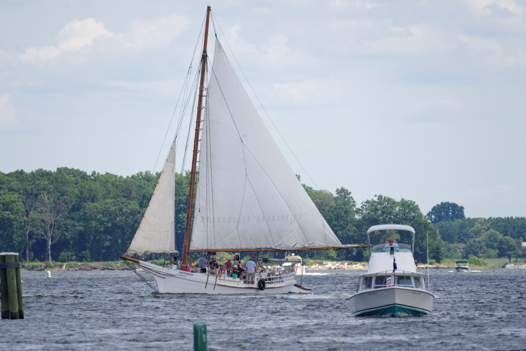 DSC_4487_DxO.jpg