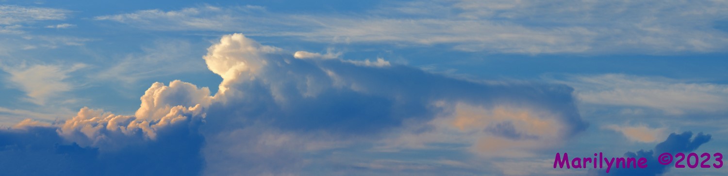 DSC_4489_stitch7_001.JPG